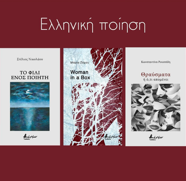 Στιγμιότυπο οθόνης 2024 12 20 110159